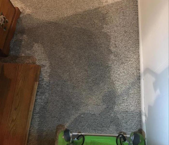 Basement carpet soaked from a sump pump failure