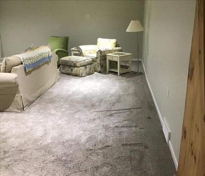Water damaged basement with carpet